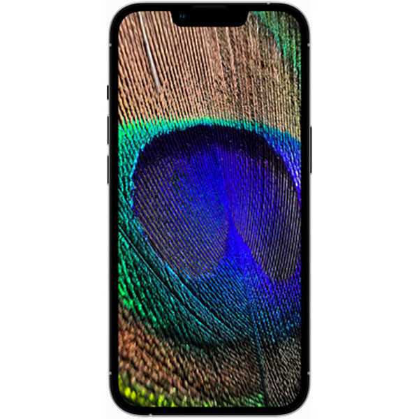 گوشی موبایل اپل مدل iPhone 13 Pro Max A2644 دو سیم کارت ظرفیت 512 گیگابایت و رم 6 - اکتیو